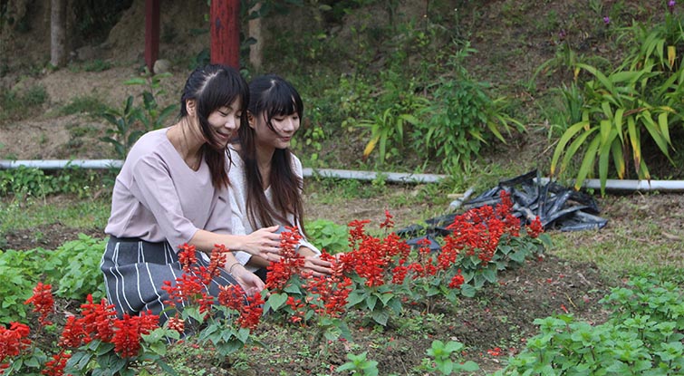 屏東「佳德谷」，在山谷裡種下希望