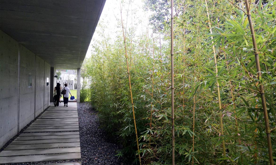 在九九峰下蓋間山中的美術館  毓繡