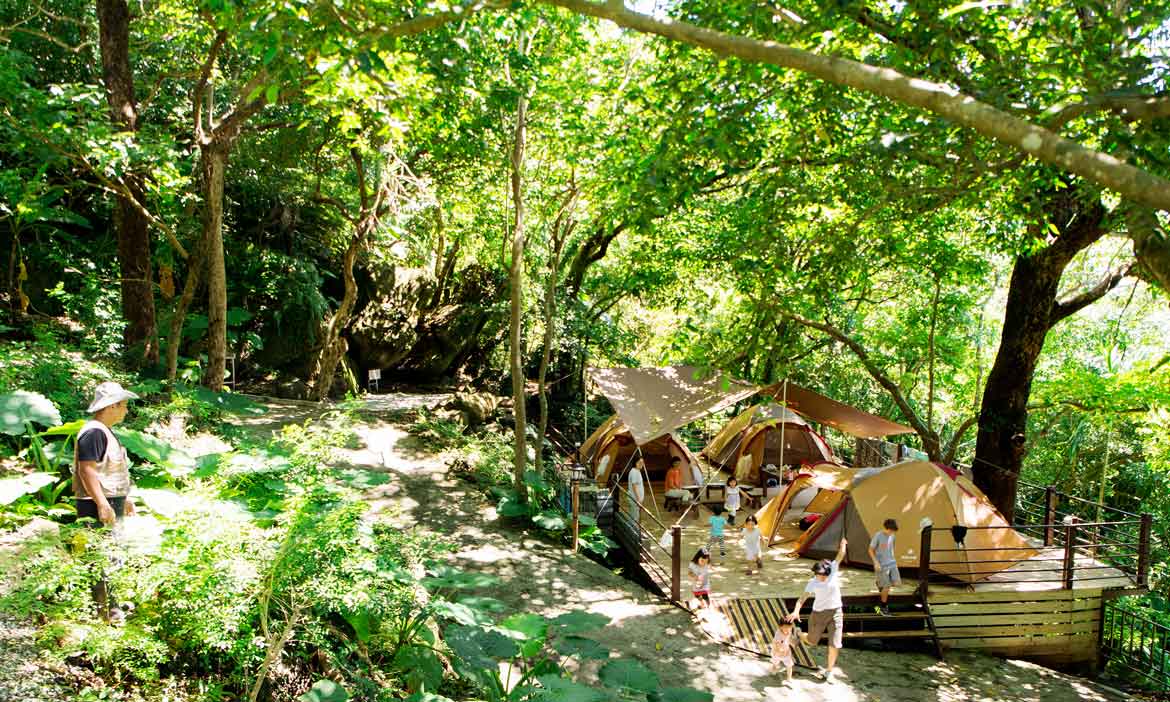 磯崎高山森林基地，馬中原用一座山做接待