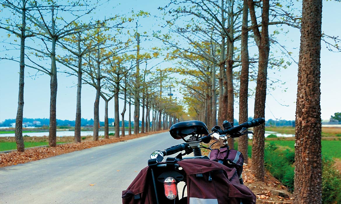 台南小南海單車路線 慢遊田間風景，偏離車道最美