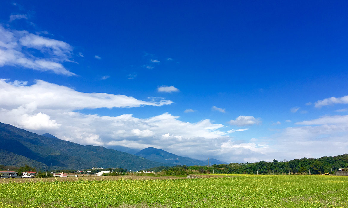 讓身心出走花蓮富里，慢行在低調而奢華的田園風景中