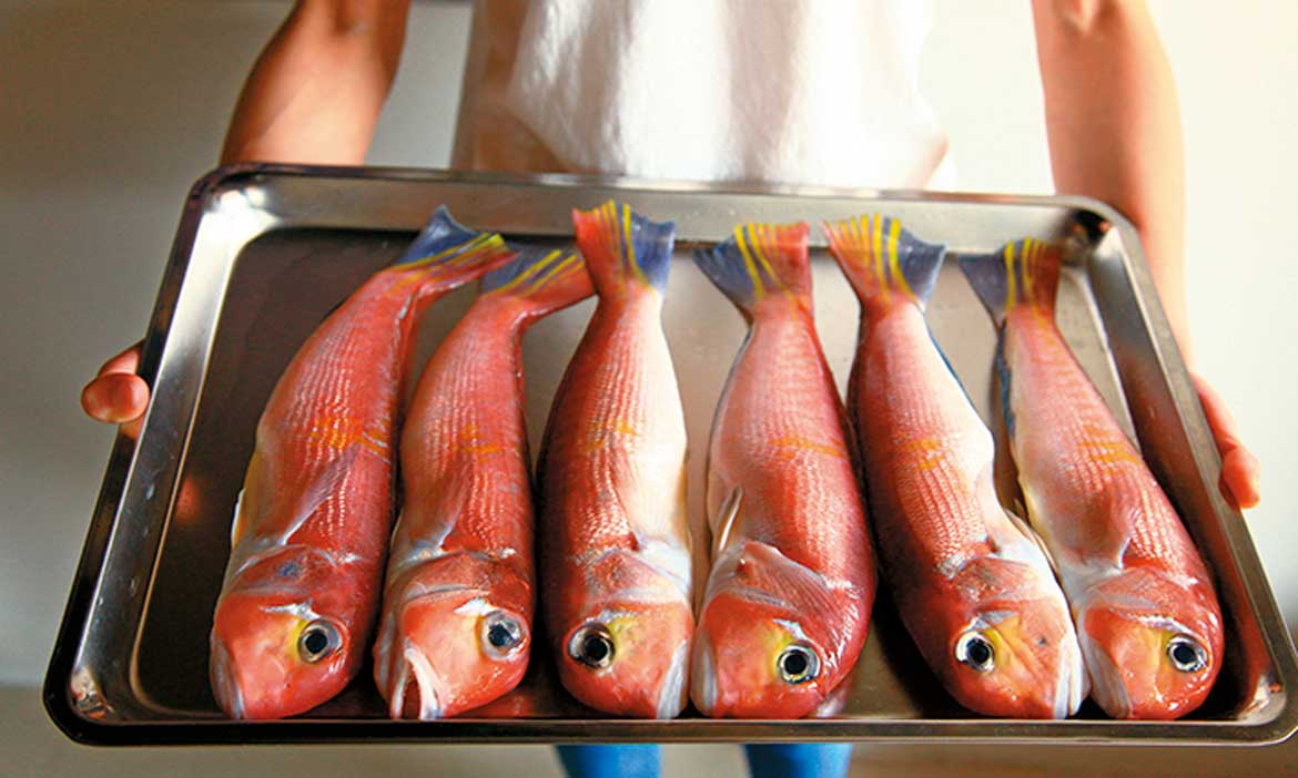 呈獻海鮮，把魚煎到極致