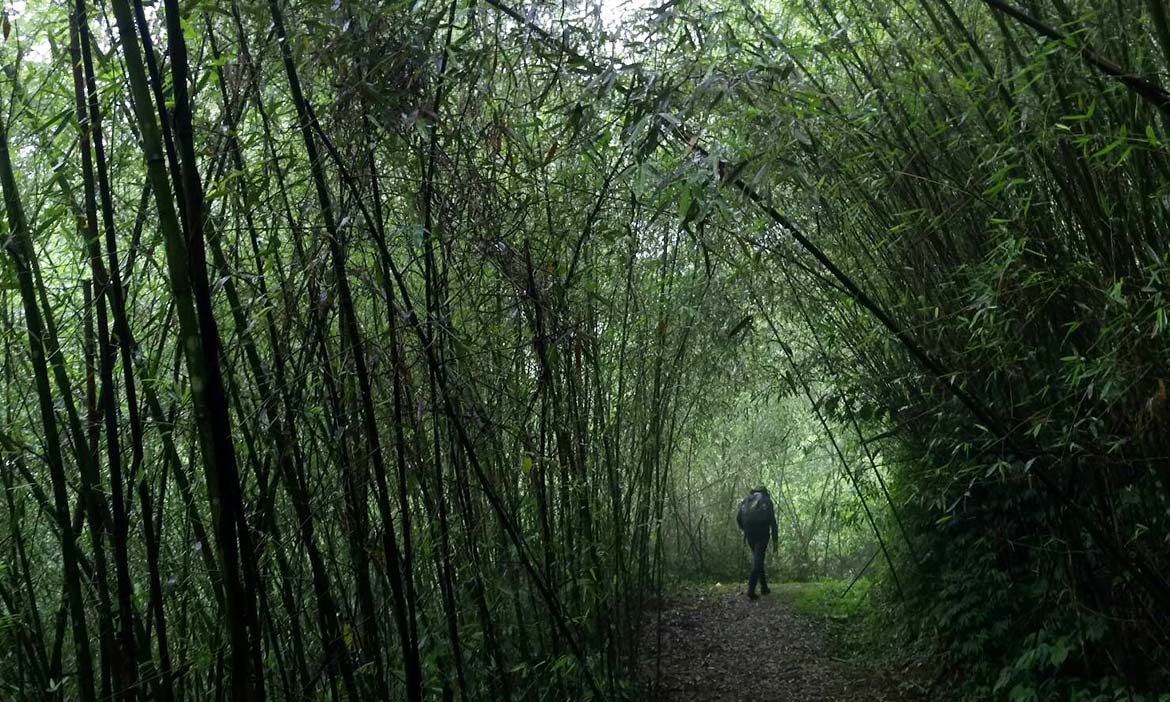 走過安通古道 人的世界很遙遠，心思也很久遠