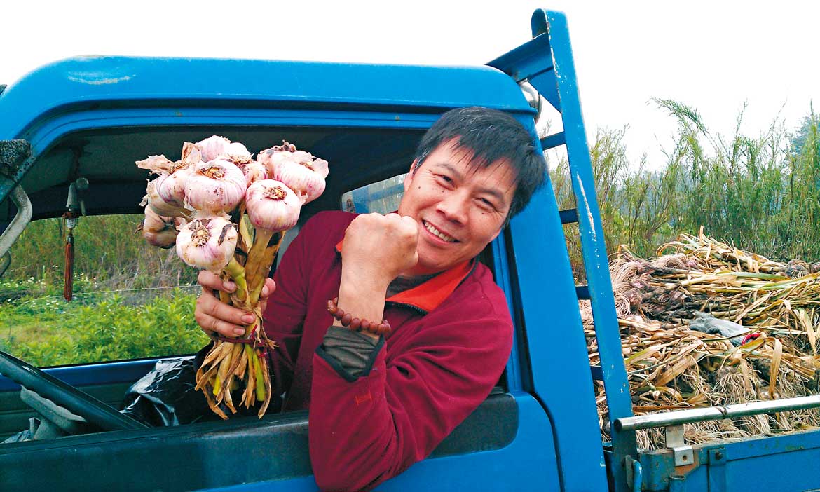 金門新黑金，蒜香入喉甜而不嗆