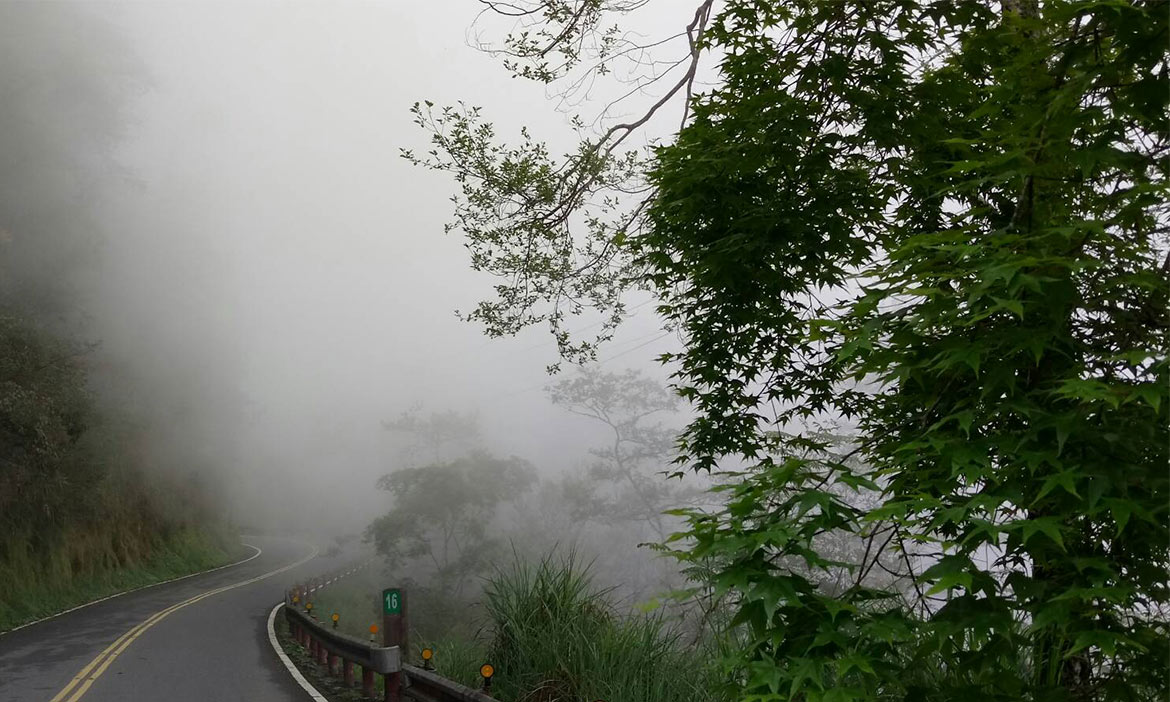 過一天被雲霧圍繞的日子，與森林一起深呼吸