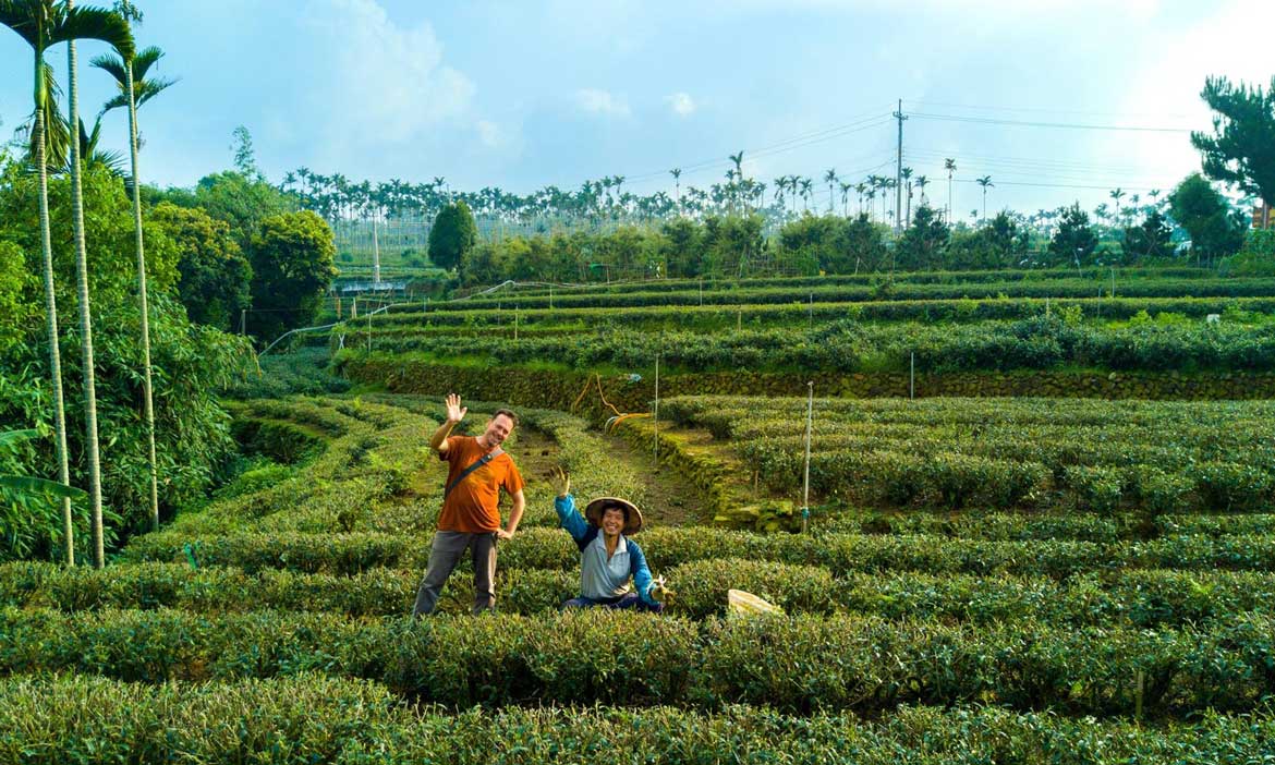 為烏龍茶定居台灣的美國人，為何戀上台灣茶？
