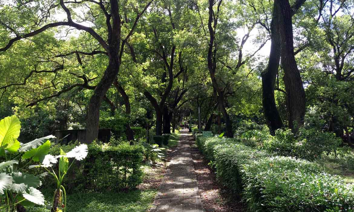九九峰下的草屯平林村  美如實地在自然裡，也在美術館中