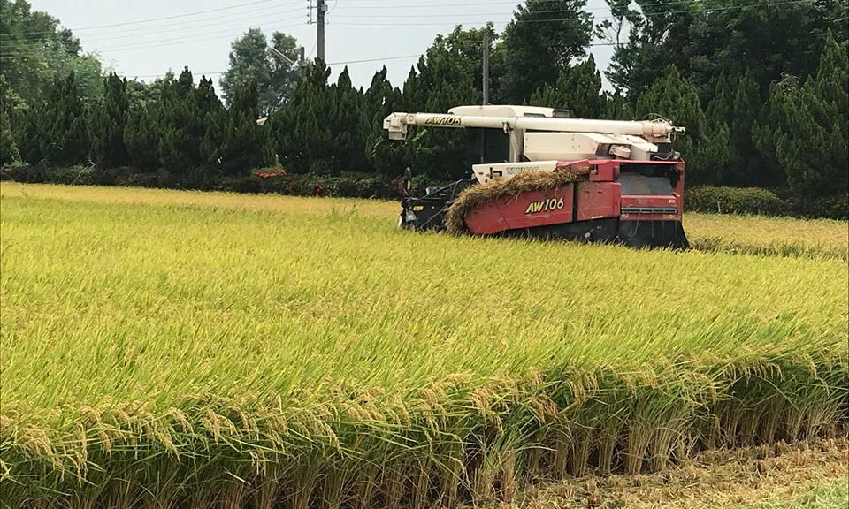 徒步環島23公里，今天婉拒了四次便車