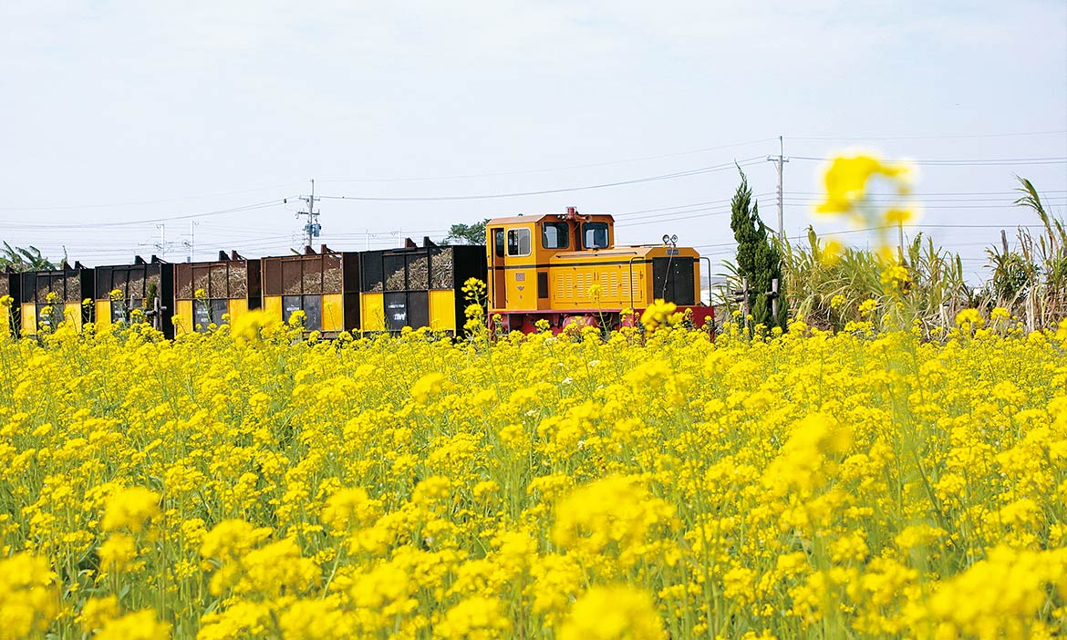 百年糖鄉五分車，隨著一個個古蹟修復，重新品味虎尾生活