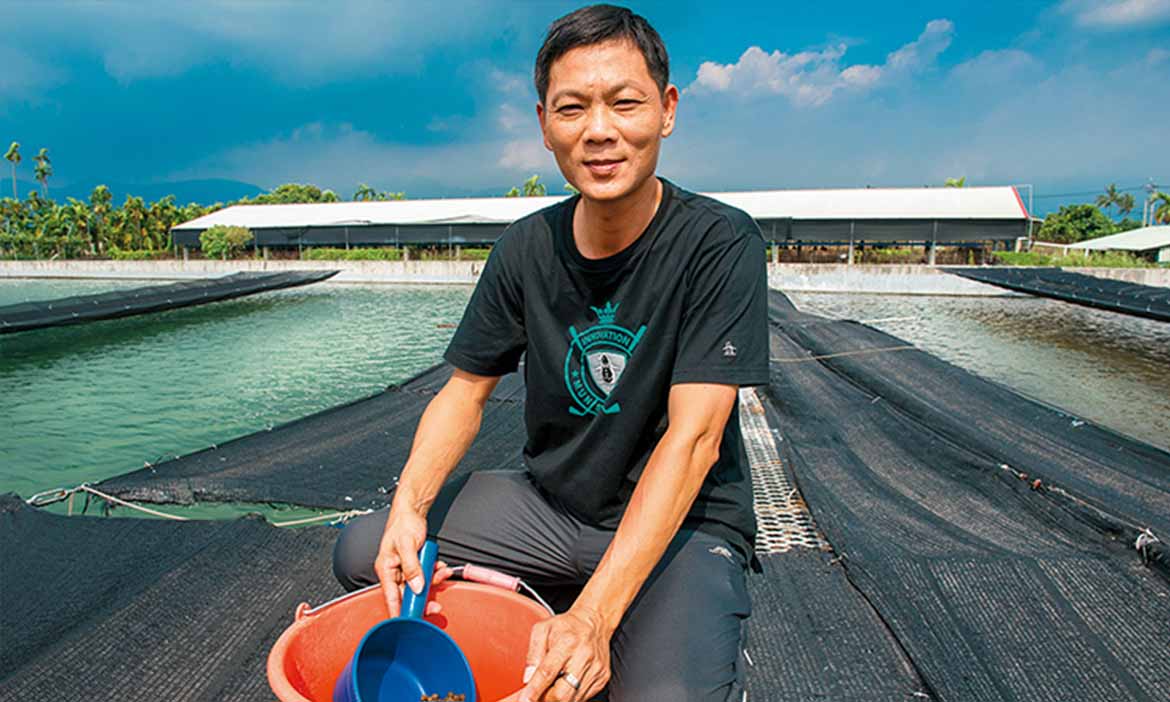 鱸鰻與鱘龍魚 二十四小時stand by，屏東養魚達人夜難眠