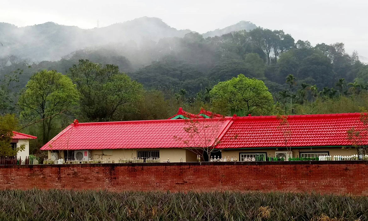 捨不得霧的離去，微雨有霧的小鎮 如此靜謐美好