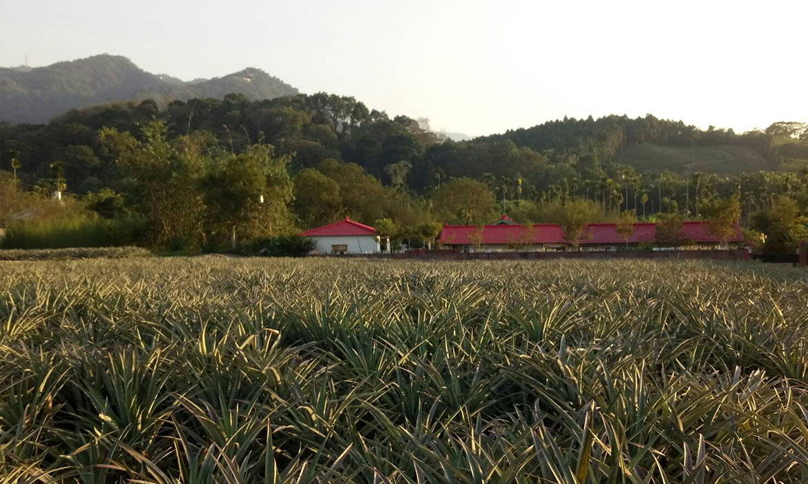 在竹山小鎮生活騎單車，彷彿獨自擁有這片風景