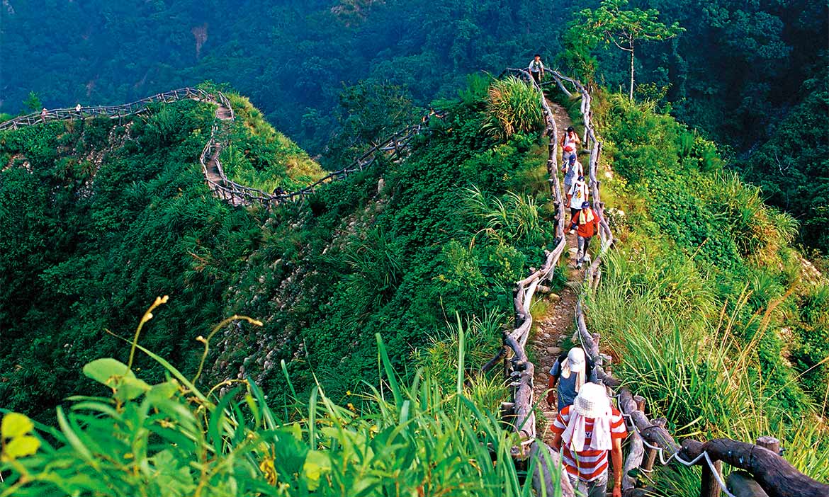 台灣小百岳  台中頭嵙山，859公尺一座山林寶庫
