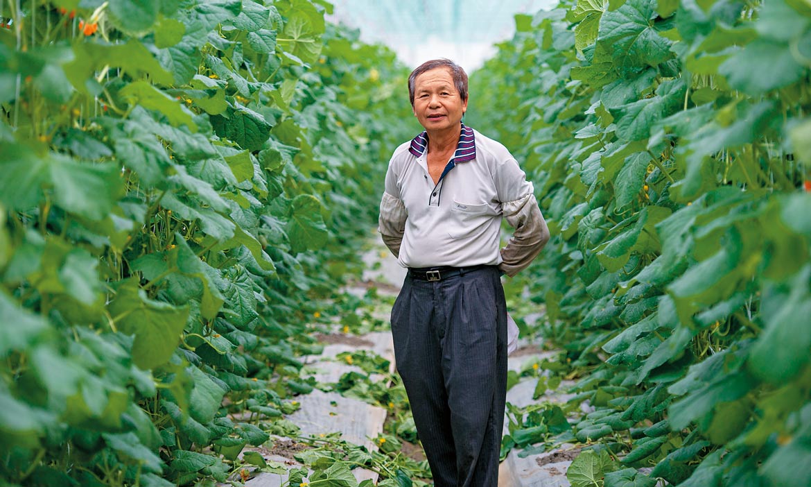 務農生涯裡最快樂的事：「聽到客人說，從來沒吃過這麼好吃的瓜！」