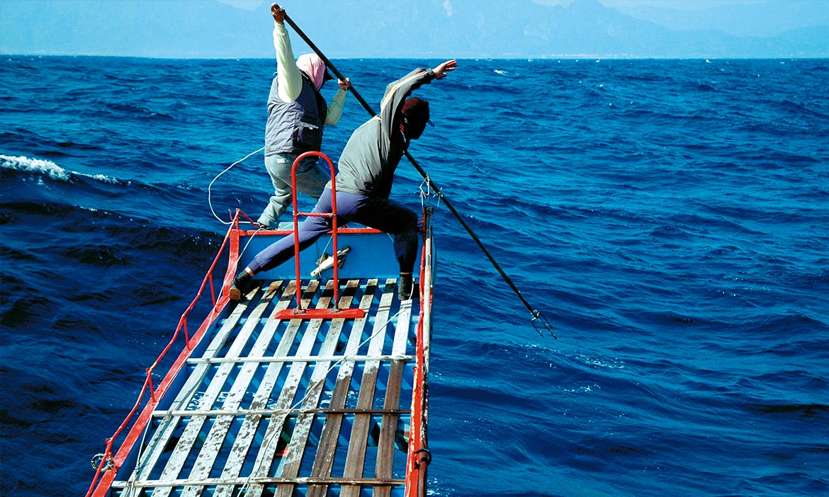 世界僅存的古老捕魚技法，戰浪「鏢旗魚」用生命與海搏鬥