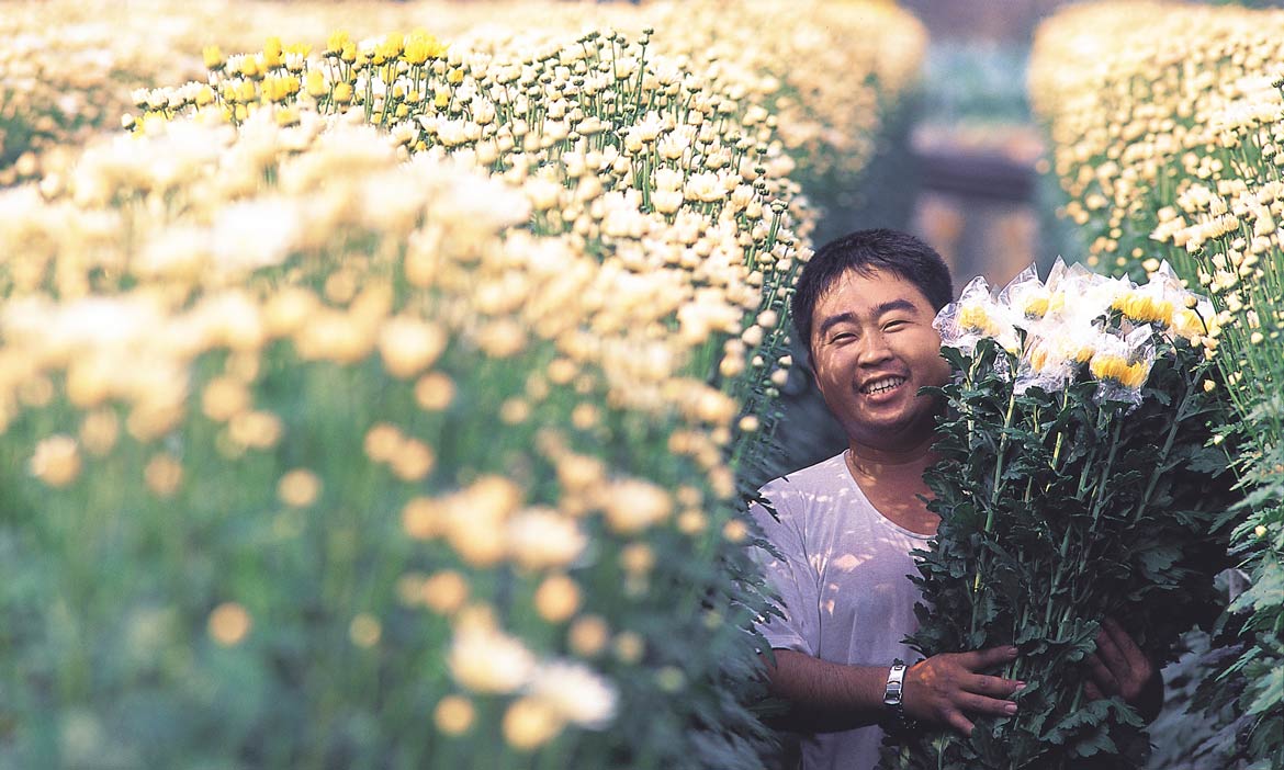 悠遊田尾  花旅行，每一朵都像模特兒