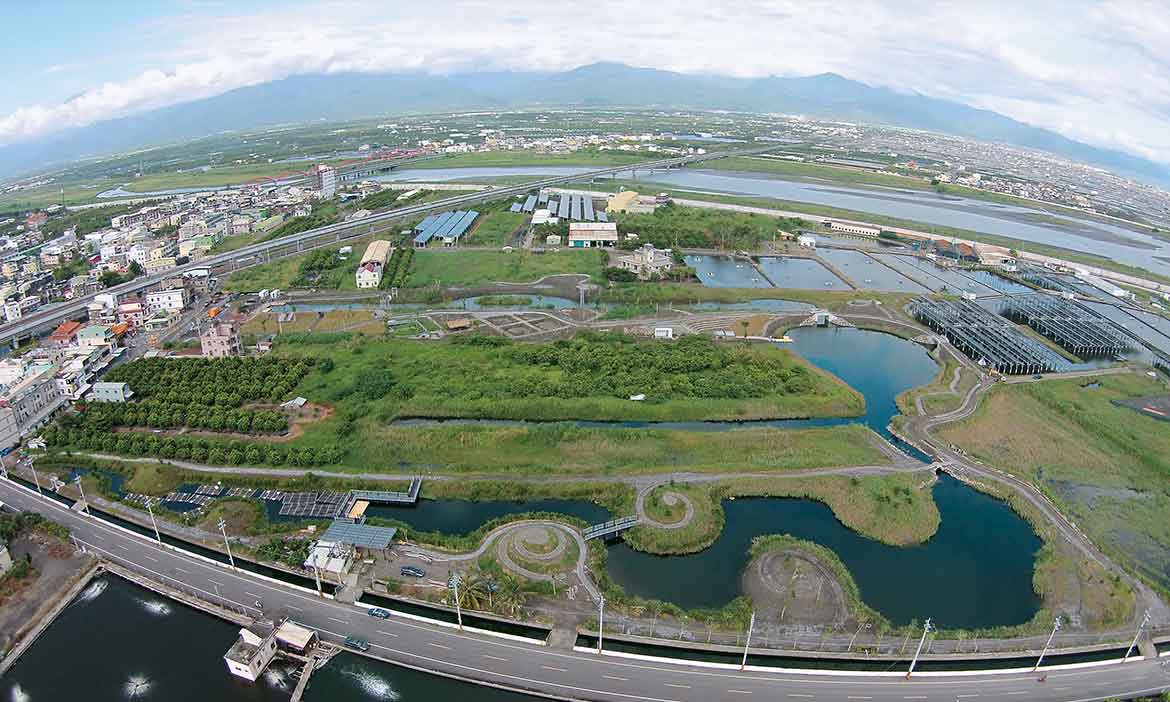 大鵬灣養水種電復育六濕地，努力找回潮間帶生物的家