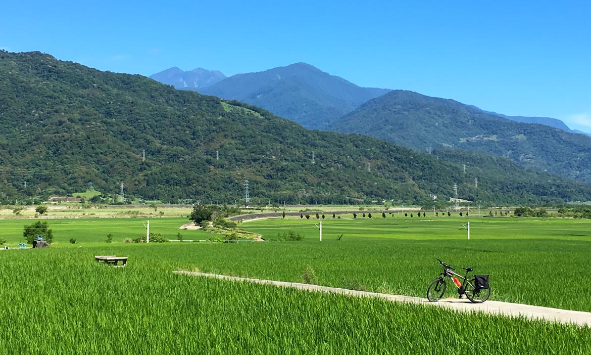 我用慢活時光佐青春，調出一道逍遙的花東味
