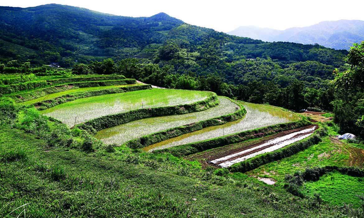 世界農業遺產  將美好風景永續，台灣怎麼做？