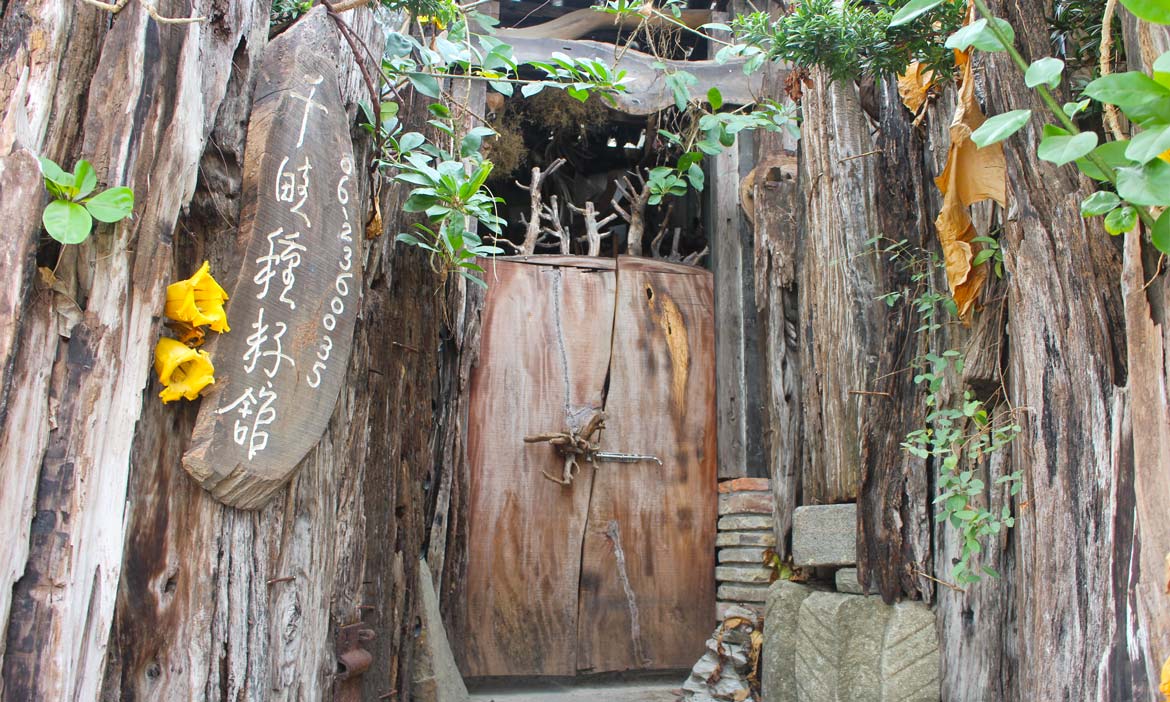 千畦種籽館 台南城裡的秘密森林，一腳踏進種子奇幻世界