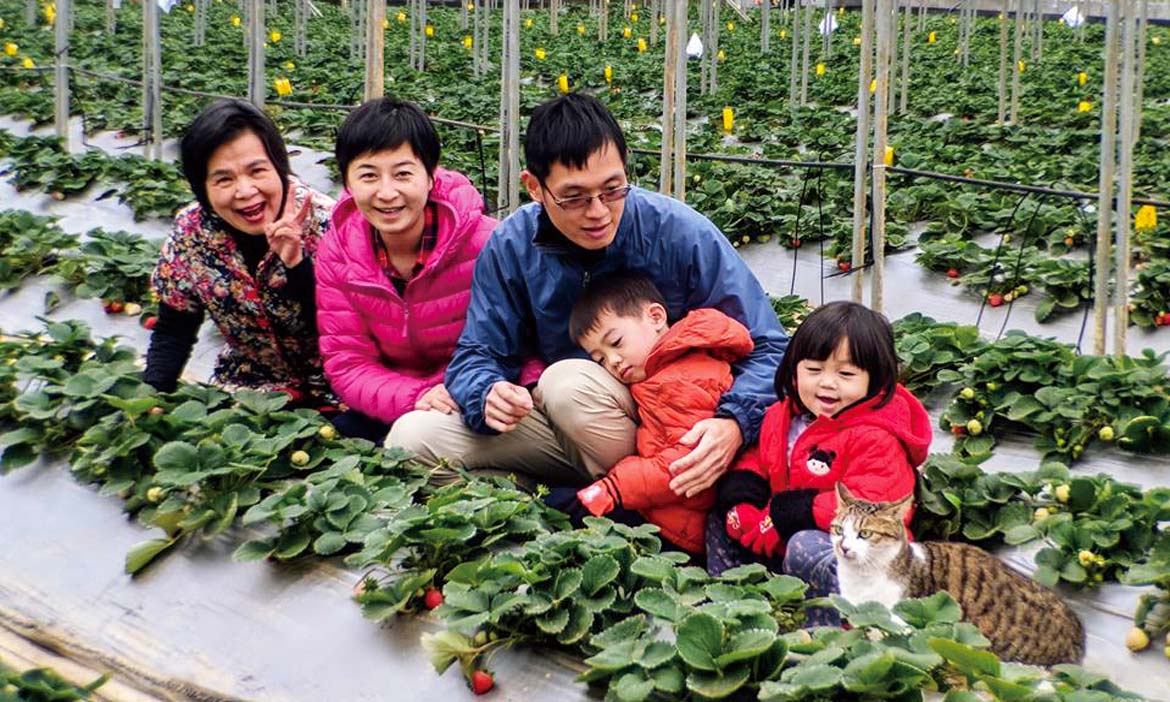 ​​​​​​​謝秋芸  返鄉挑戰種出無農藥草莓，為孩子打造接地氣的生活