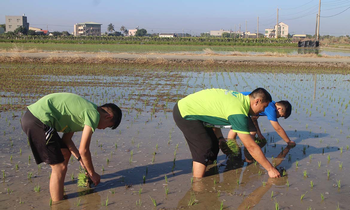 我在鹿草小旅行，尋找「好覓仔」，先從彎腰開始