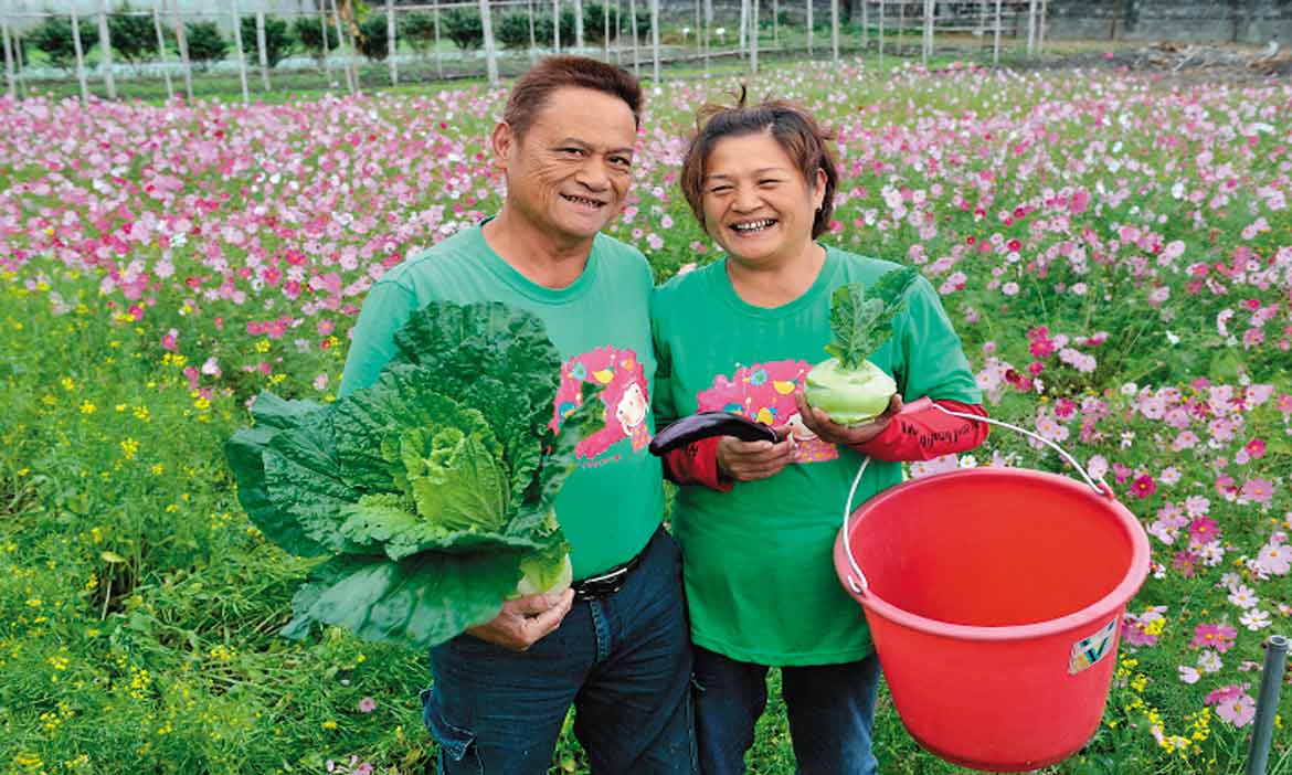 「吃完後你的細胞會跳舞！」 讓台東人愛上的健康料理