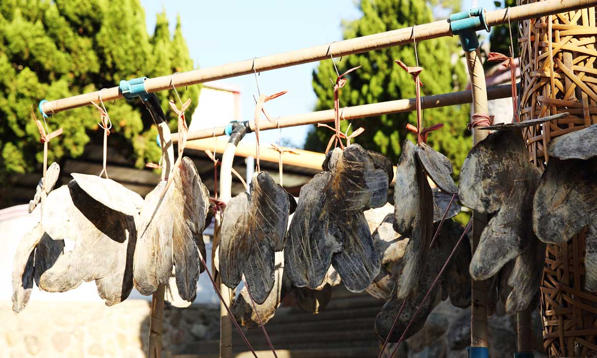 苗栗獅潭國興獸肉店，客家阿婆的頂級惜食美味