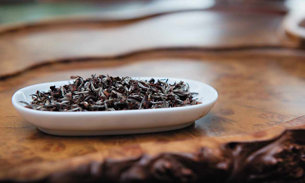 東方美人茶 美人在哪裡？原來命名跟英國維多利亞女王有關
