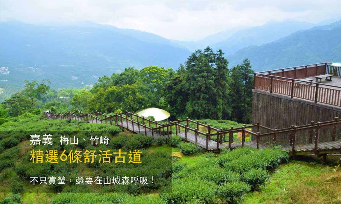 嘉義梅山與竹崎  精選六條舒活古道，不只賞螢，還可森呼吸！