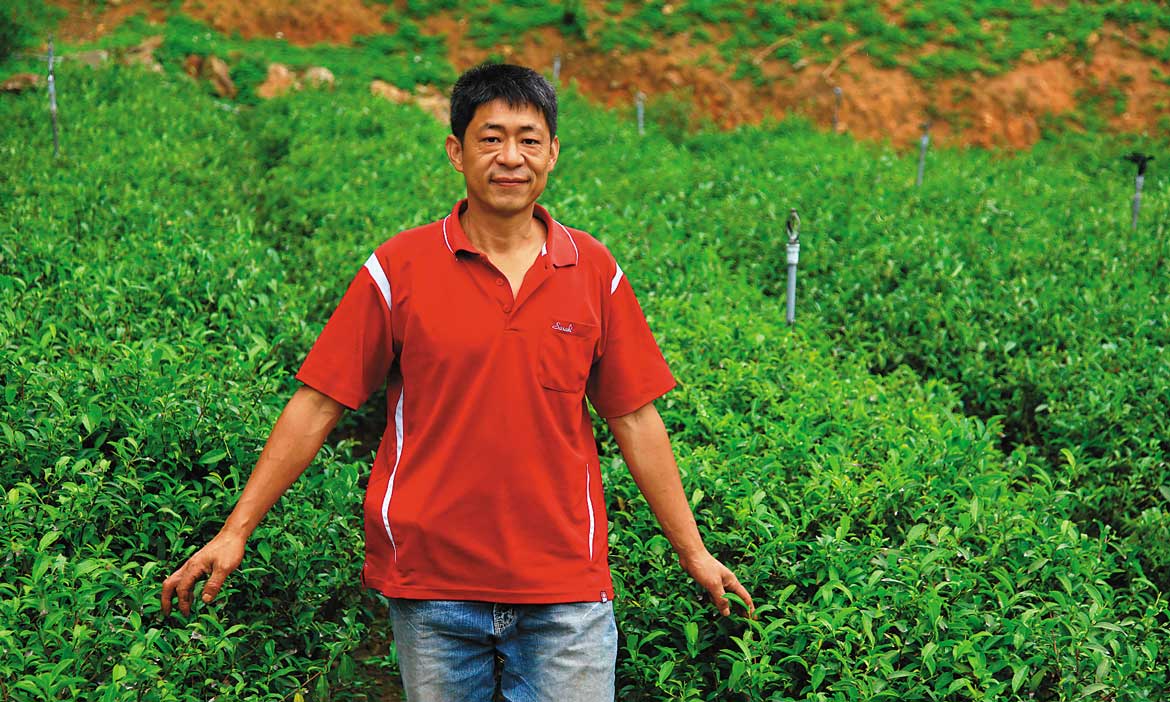 為國境之北爭一口氣，邱垂旺種出令專家也刮目的好茶