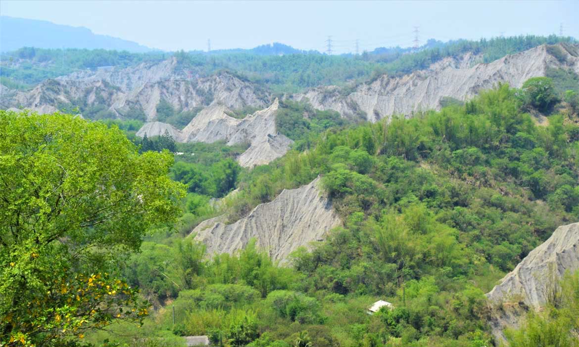 世界級特殊地景，在龍崎惡地裡守護美麗生機
