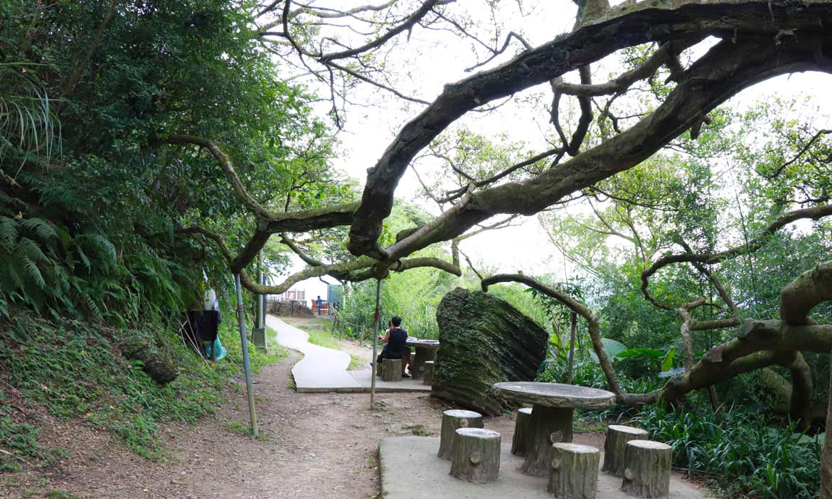 福源山步道  走進昆蟲百科裡頭的世界，賞景兼吃豆花