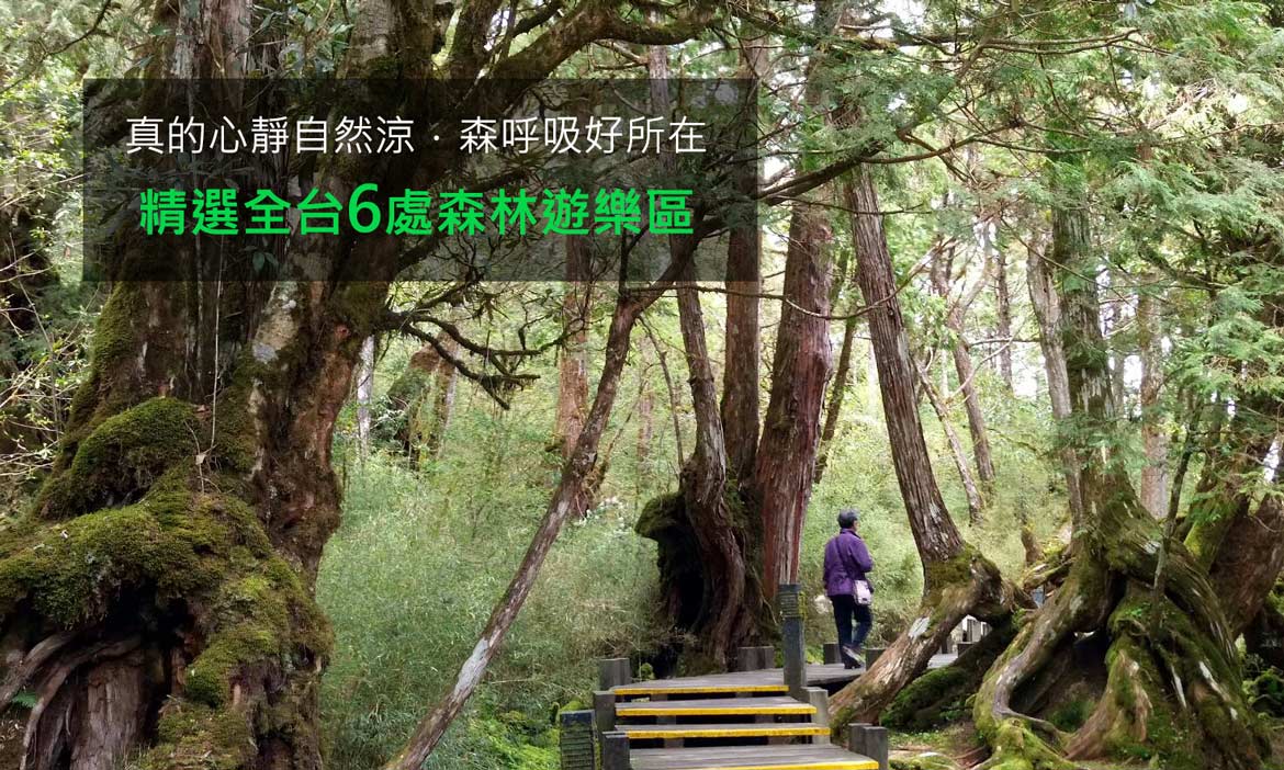 消暑心靜自然涼，精選全台6個森林遊樂區