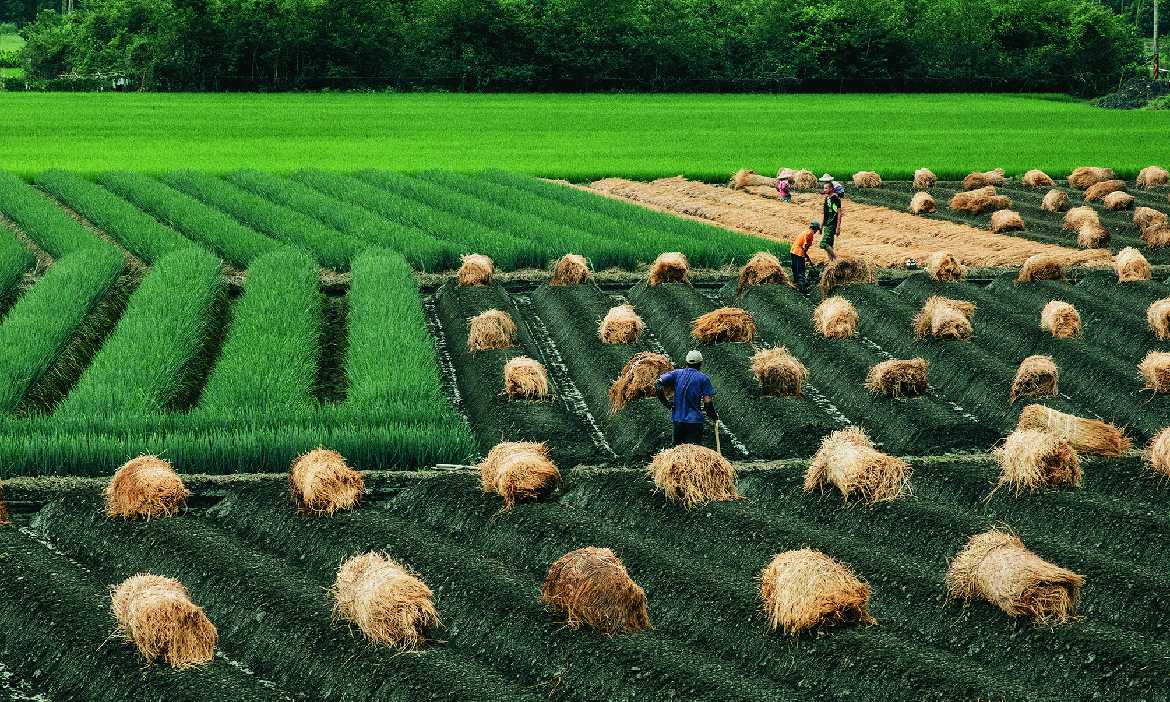 宜蘭三星不只有蔥！品美食賞風景，還有護溪與好好生活