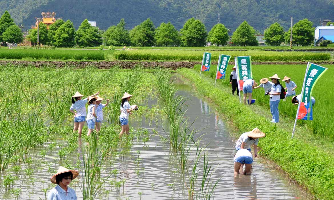 種出給下一代最好的禮物，宜蘭三星 行健有機村