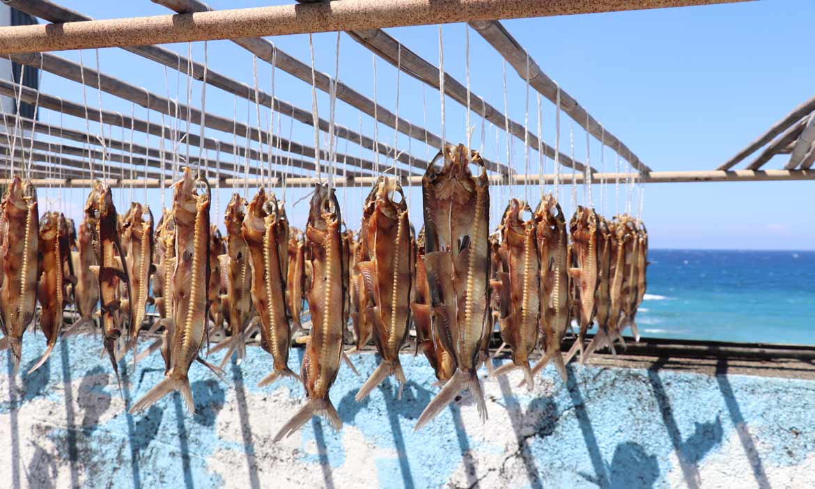 從雅美族（達悟族）傳統文化核心「飛魚」出發，更加理解蘭嶼的人文風景