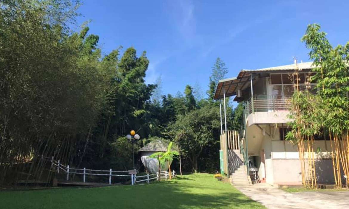竹山  在竹的世界住一晚，見到外銷日本四十多年的耳扒