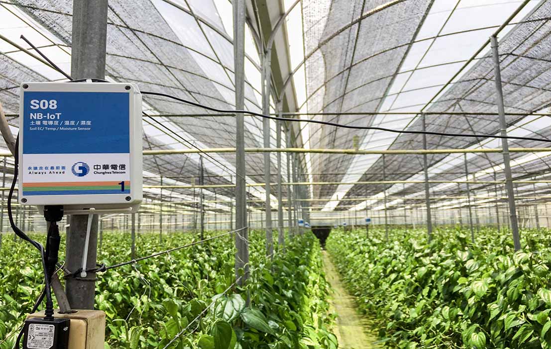 中華電信以智慧科技翻轉　台灣農業