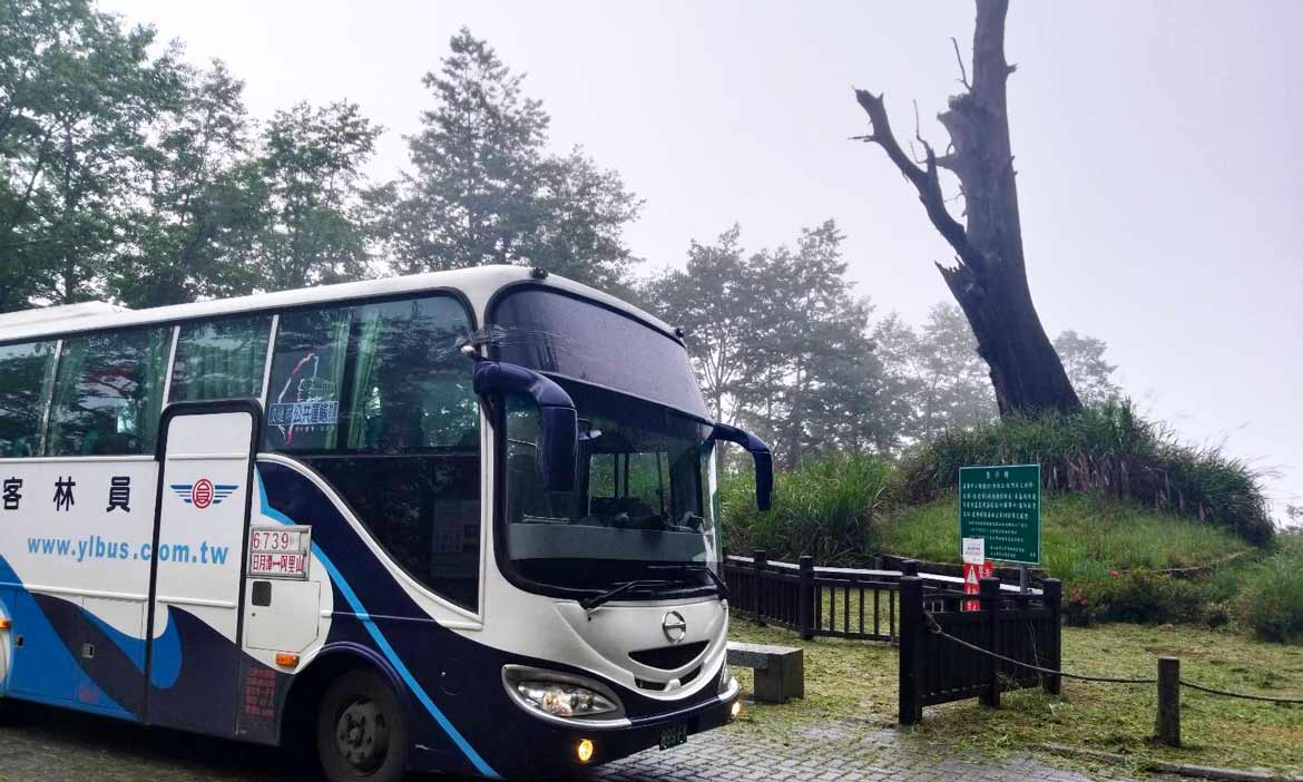6739 往返日月潭與阿里山，最接近玉山的絕美公車路線