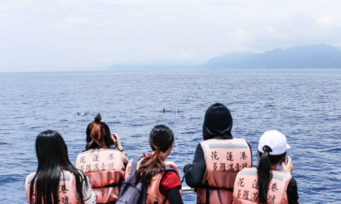 從大海洄遊到餐桌的食魚教育，在七星潭親身體驗永續海洋