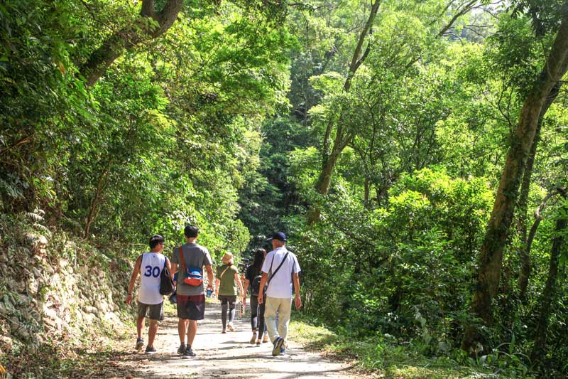 生態導覽「台東知本林道」 把視角放在地面上 山區小徑便充滿自然愜意