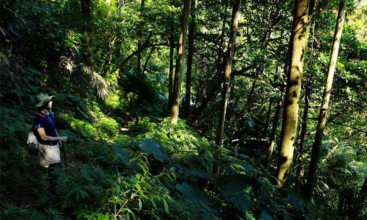 淡蘭古道 台灣必走的朝聖之路，國家級綠道冒險又療癒
