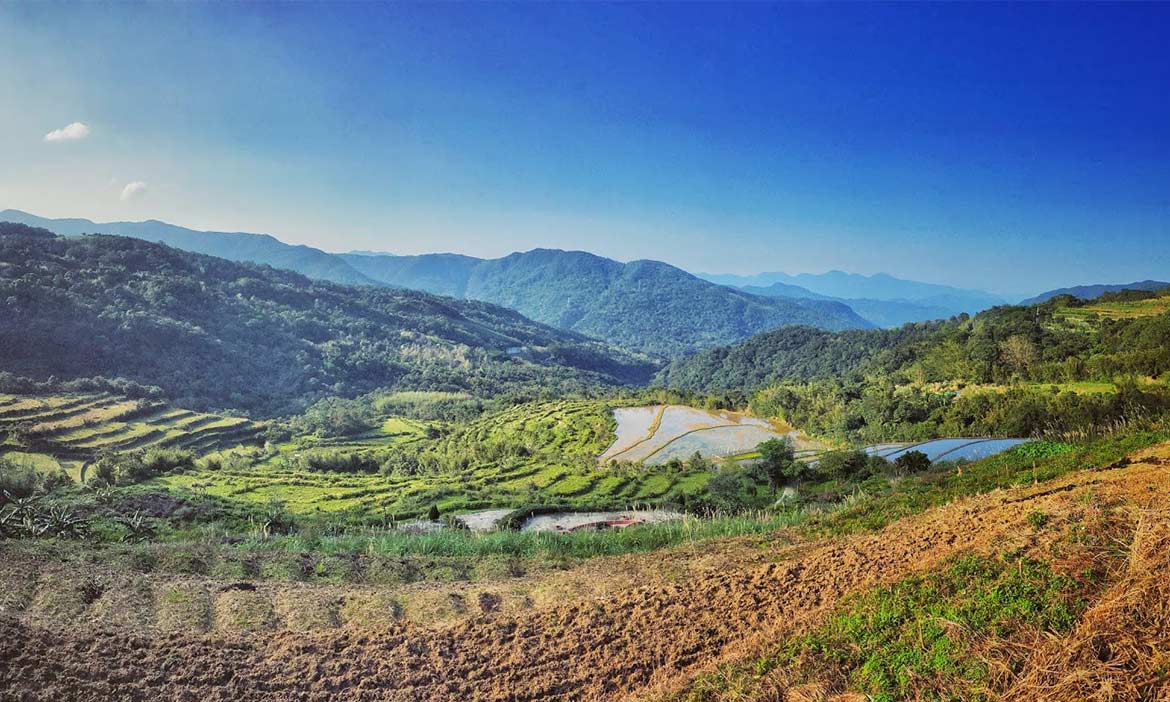身坐於遼闊的桃源谷大草原，群山環抱的全景，不只是浪漫而已