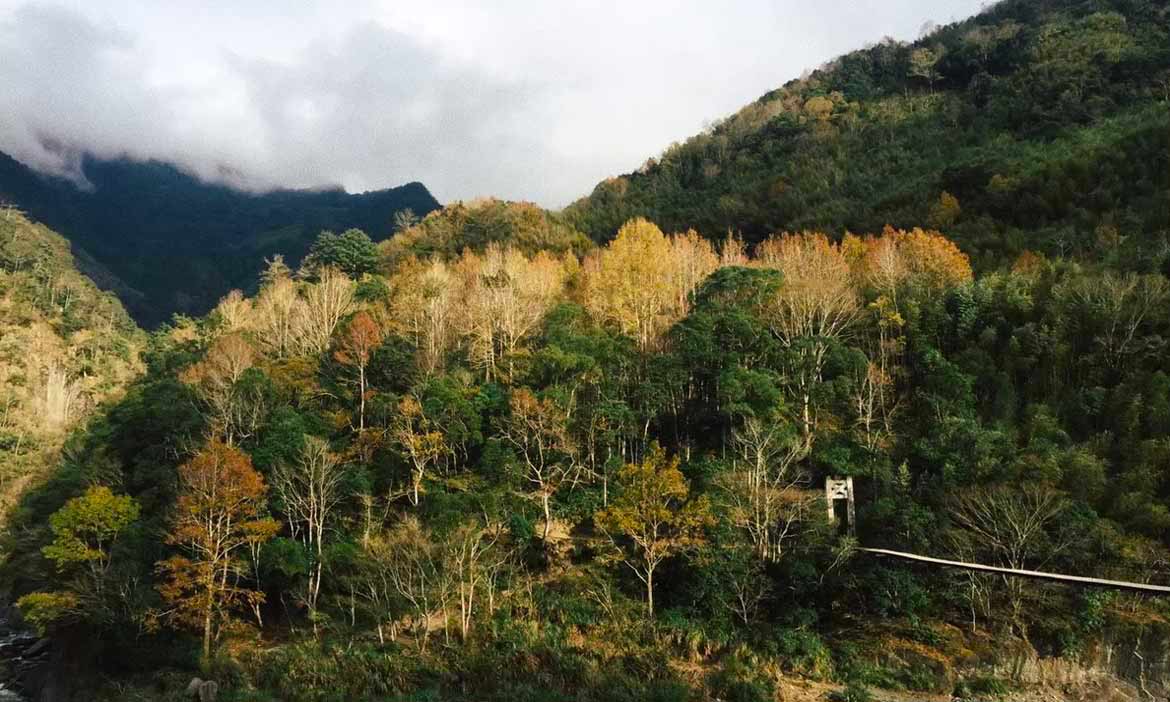 楓紅時來去走走！霞喀羅古道，享溫泉、吃苦花魚獵人便當