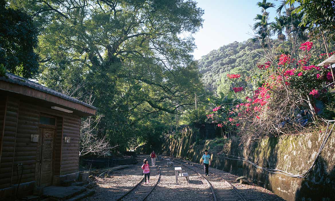 樟腦寮站｜精選3座小百岳步道，讓你輕鬆蒐集沿途美景