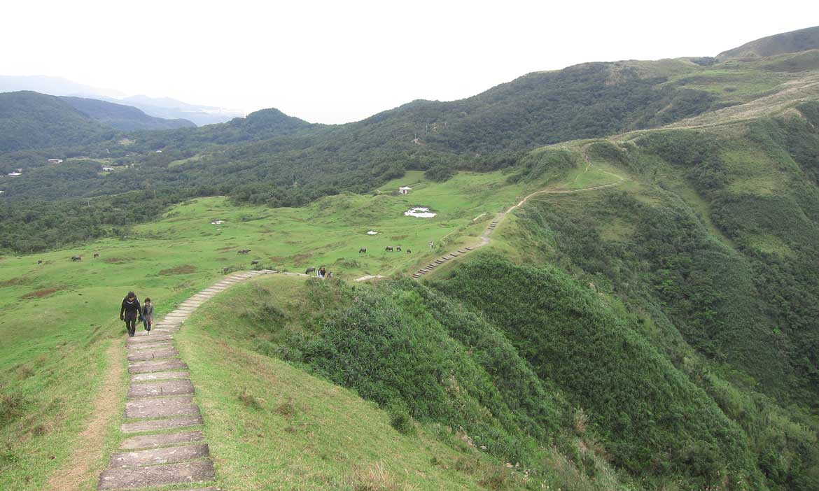 6條高CP值步道，360度無敵景觀，101分的健行活動