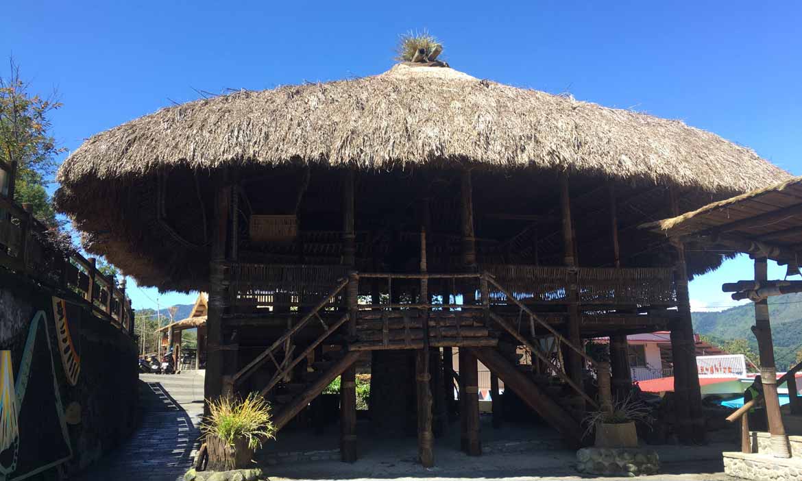 茅草屋必備「白茅」，從林家草厝、鄒族庫巴看建築智慧