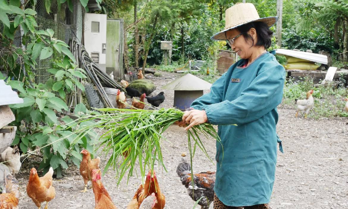 連假不怕人擠人！花蓮玉里、瑞穗農家旅行路線：吃好菜、泡溫泉