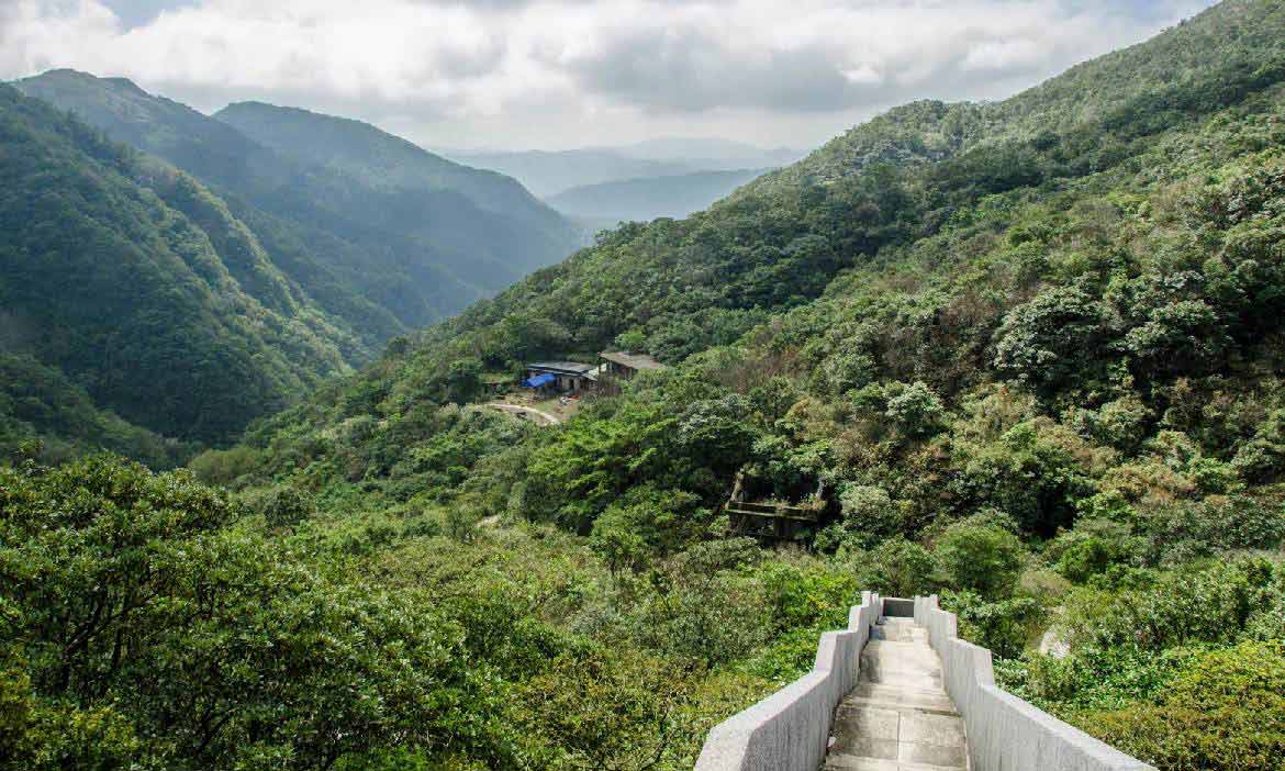 沿著電影《多桑》之路 走訪新北大粗坑古道 換個角度認識悲情城市